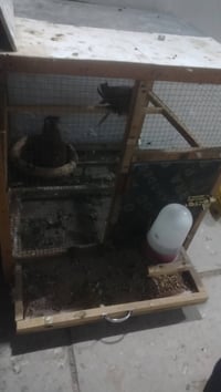 خانة • أم الجرارة • سعر خاص