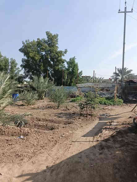 أسلام عليكم ورحمة ألله وبركاته🌹
الاستفسار : ***********

توفر أرض مع دار سكن طابقين 🏭
سنة البناء 2023
ألمساحه الكليه 600م
ركن على شارعين
كل شارع 10م
جميع لخدمات متوفره
على نهر جاري قريب على شط لعرب
يبعد مسافه 100م عن شط لعرب رئيسي

أرض حلو مرتبه مزروعه أنواع نخيل
محتويات البيت ⬇️
بستان + كراج
دوانيه
صالتين
غرف نوم عدد 6 نضام سويت
مطبخ حار بارد
صحيات خارجي وداخلي

نوع العقار : طابو زراعي ملك صرف عراقي سند 25
العنوان : البصرة ابولخصيب محيله 

السعر : 300 وبي مجال
الاستفسار : ***********
