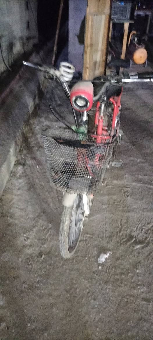 السلام عليكم
بايسكل شحن حجم مثل ما موضح بلصوره نقص بطاريات وبنجر خلفي شغال كامل اي عطل مابي (السعر50 مابي كل مجال). 

الموقع كربلاء الحر الصغير 

رقمي: ***********
