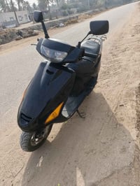 فراشة نثية • مكينة فحل • نجف المشخاب