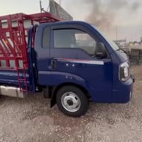 شباب كيا فحل مسكر 2023 مقفوله كفاله عامه واحد على واحد رقم موبايل07753...