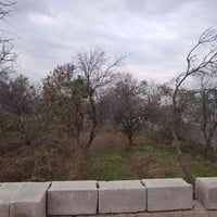 العلم الحاوي • دونم طابو زراعي • هيكل مبنى