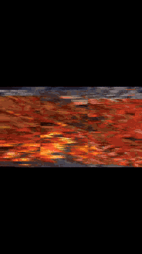 أجنحة فريش • صحن رز أحمر • توصيل خانقين