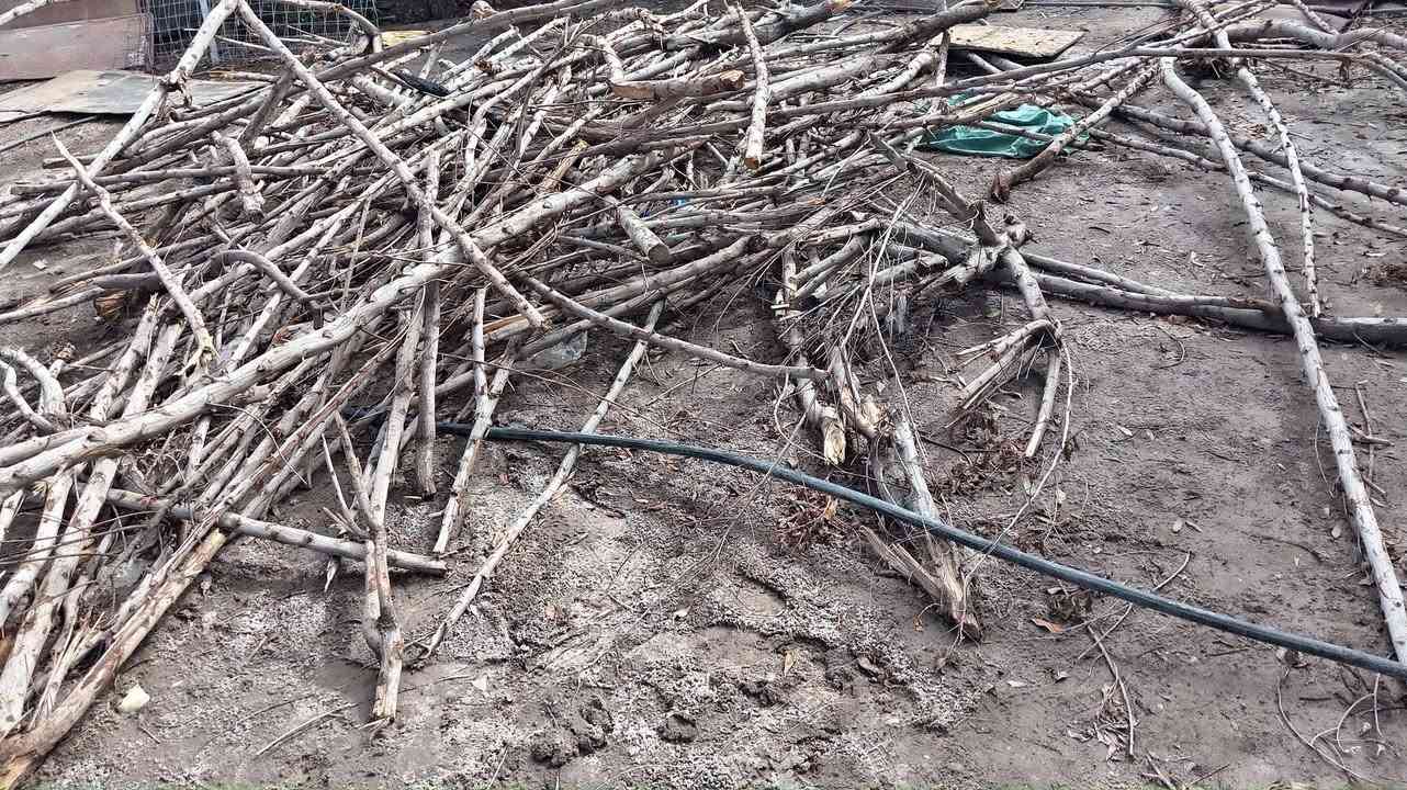 السلام عليكم حطب البيع والشري يجي خاص


**إذا كنت صاحب هذا الإعلان وتريد حذفه لأي سبب، رجاءا أرسل رسالة إلى الدعم الفني**