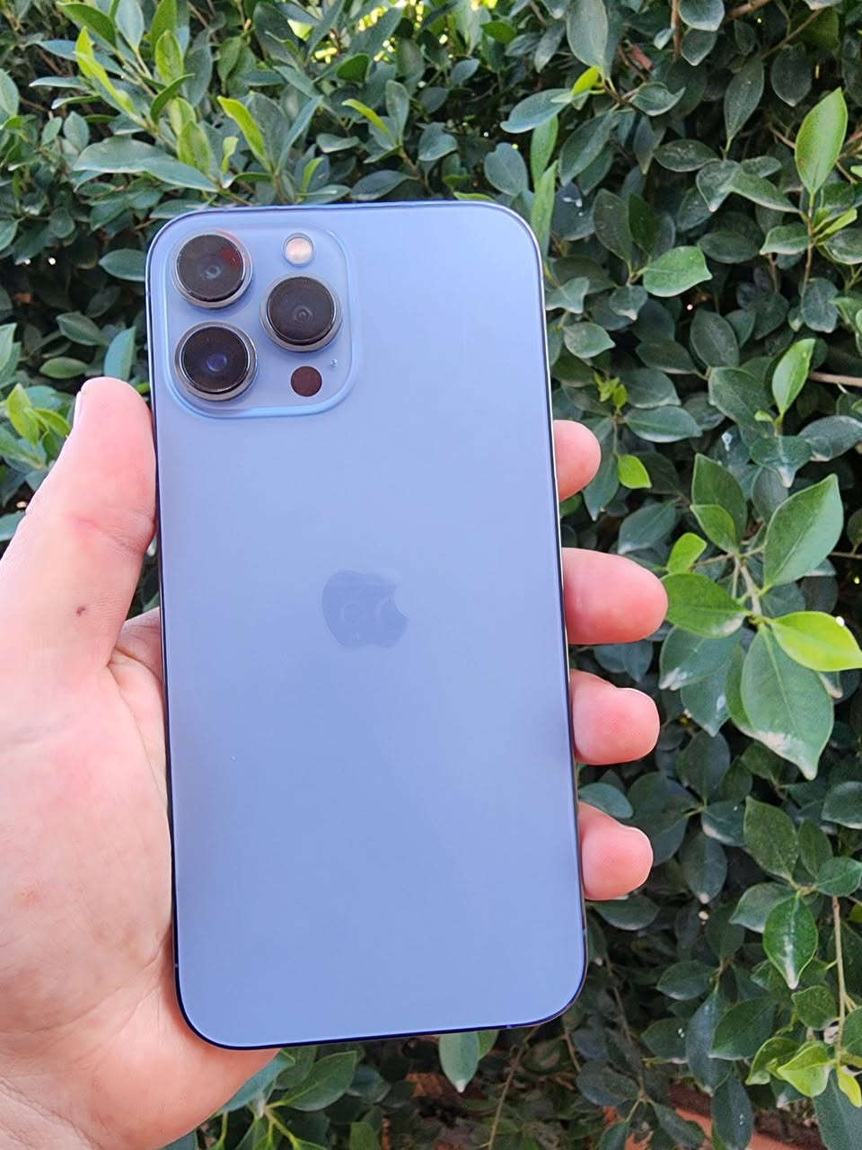 السلام عليكم…. مكلف بالنشر.. بيع نقد
أيفون 13 برو ماكس للبيع فقط    نظافه فول الفول
الجهاز شرط مامفتوح هوا وحاسبه   باتري شرط مامرفوع
الذاكرة/256.   باتري/85%   جهاز فول.  ضد المي
السعر/650 قفل قفل 
***********
