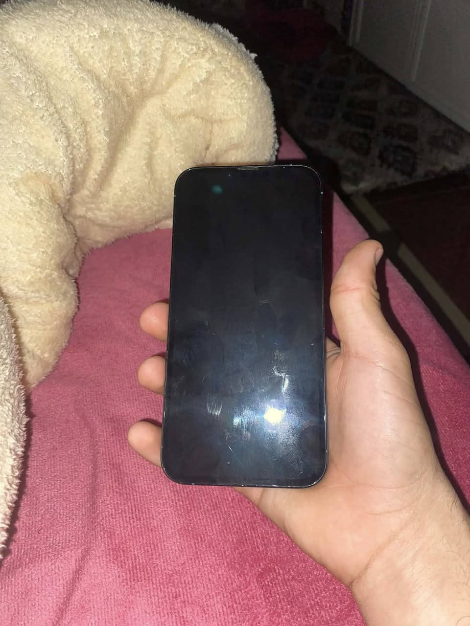 13 برو ماكس
ذاكرا256
بطاريه 79 قطاره 

تك سيم 
مبدل شاشه شرط اصليه مال تفليش وبيها فطر ما يبين وله ماثر ع شي 
فيس ايدي شغال ونضافه كدام العين 
سعر 500 وبي مجال قليل لطيبين 
*********** متوفر وتساب
