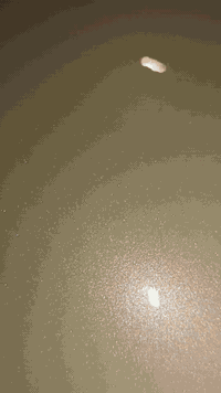 صبغ جميع أنواع السيارات أيضا بوليش احترافي سحب كارت تكحيل ألوان حاسبه نانو سيراميك العنوان الناصرية شارع السايدين مال شركه الهنديه قرب عيادة وصيدلية الكناهره. ***********
