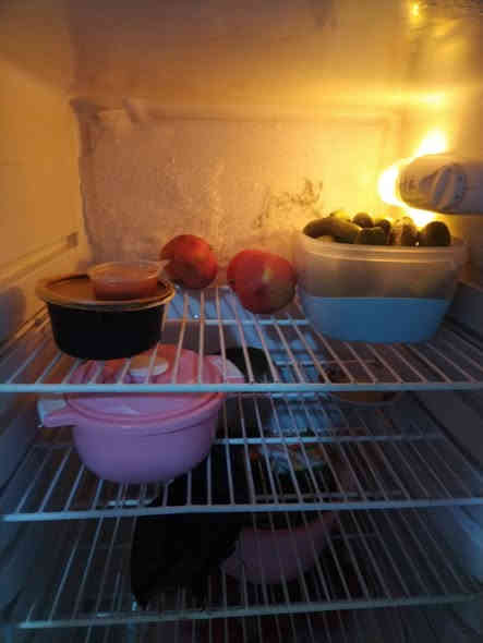 سلام عليكم ثلاجه للبيع شرط تجميد فوك وجوه بس لباب مخليله رزات فقط  ينسد طبيعي عنوان ابو الخصيب بهادريه ***********سعر75
