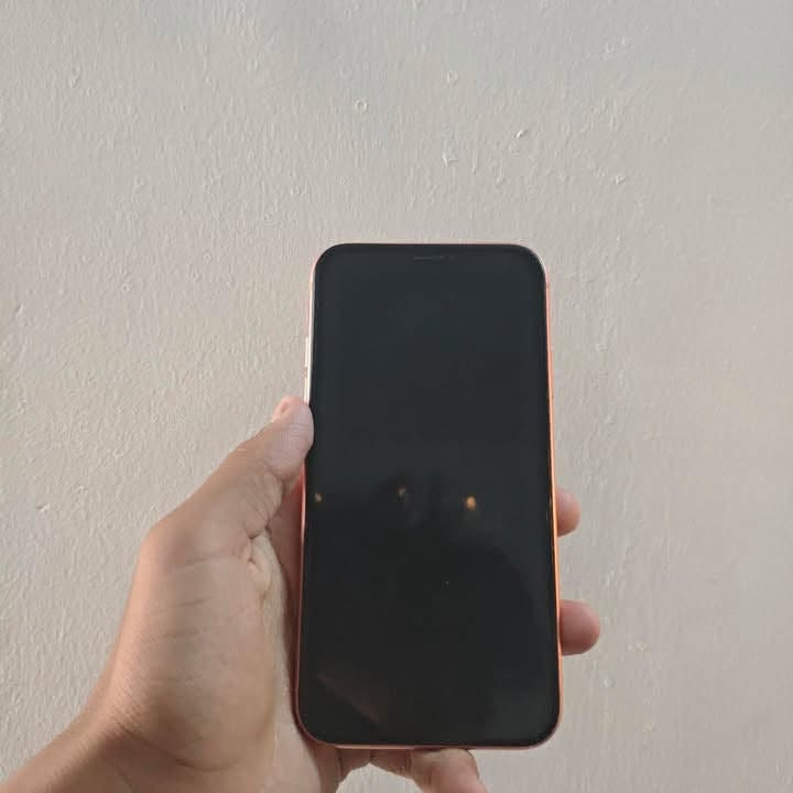 السلام عليكم ايفون xr ذاكره 64 بطاريه 100 مستبدله اصليه جهاز مايصرف شحن ابد 
شاشه 3خيارات بلاديه فيس ايدي شغال
 سعر
 160 وبي مجال 
مكاني  بغداد شراي خاص


**إذا كنت صاحب هذا الإعلان وتريد حذفه لأي سبب، رجاءا أرسل رسالة إلى الدعم الفني**