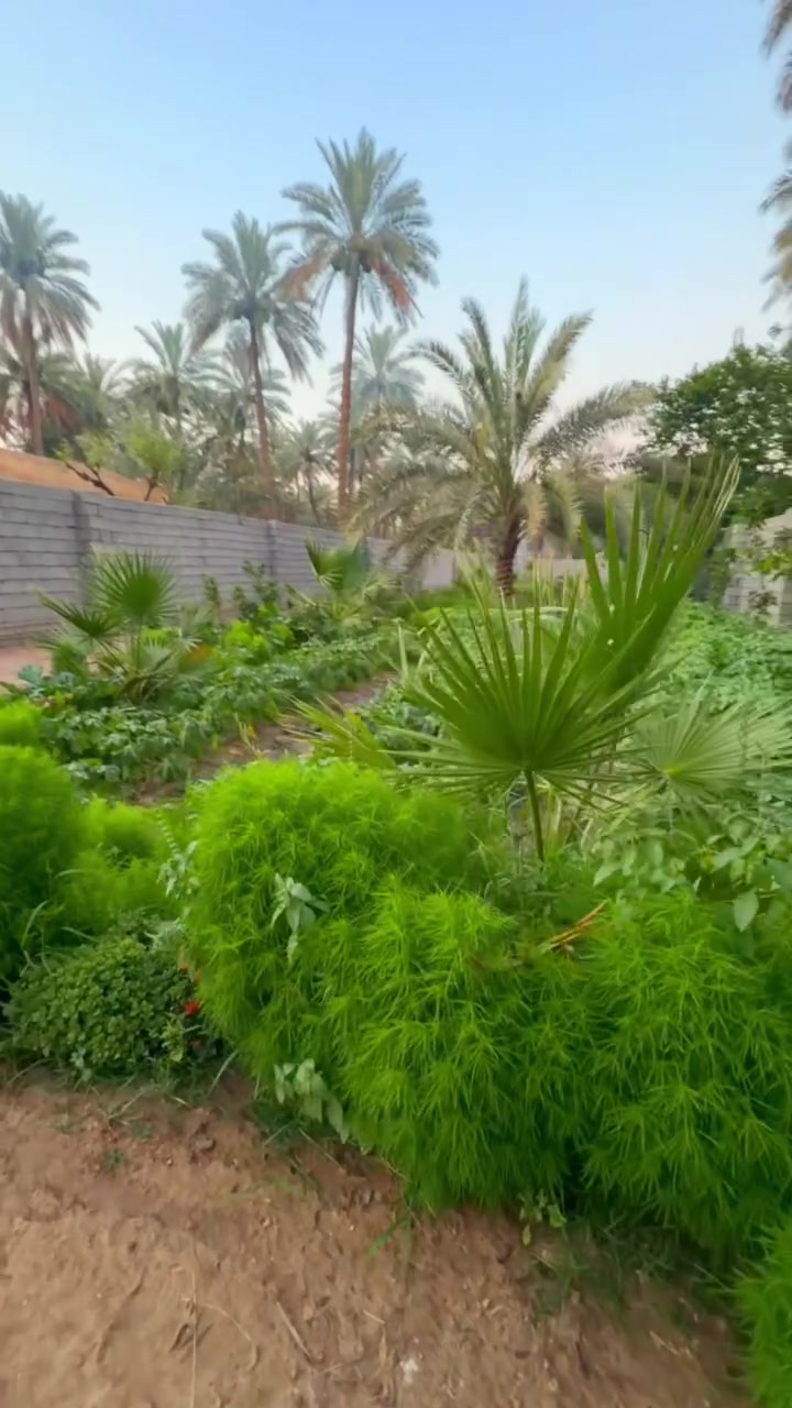 السعر👈(( 160 )) مليون مع المجال
سلام عليكم متابعين اليوم نعرضلكم قطعه بمساحه (( 1000 )) الف متر طابو زراعي سند 25 تحويل اسهم بأسم المشتري من صاحب السند مباشر الواجه 13 والباقي نزال حلوه ومخدومه كافة الخدمات ماء اساله ماء سقى كهرباء وطني مولد ذهبي اسواق مدارس تبعد عن مركز المدينه من 5 كيلو الى 6 كيلو مو اكثر العنوان كربلاء شاعر السيده زينب منطقة ابو ماشه للأستفسار اكثر الاتصال ع الارقام 

***********

***********

@الجميع
