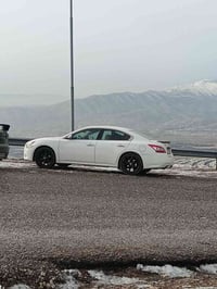 ماكسيما بلاتينيوم • ٢٠١٠ • رقم اربيل