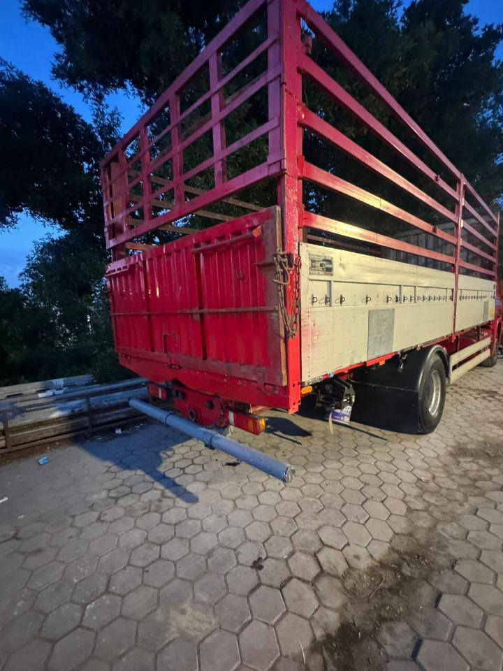 السلام عليكم بدي أوربي طول 740 الارتفاع 250 نص اجناب فافون بدي جديد ***********
مكان بصره  السعر خاص
