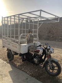 ستوته • ٢٠٢٤ • الرمادي ٥كيلو