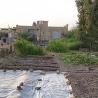 قرية المزبانية • قرب محطة الجوهرة • ٤٣٧٥م