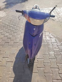 عصفورية • كهربائيات شغّالة • بغداد الشعب