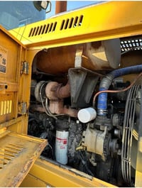 شفل كاوسكي • وارد أمريكي • حجم ٨٠