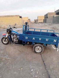 ستوته 22 • الكوت