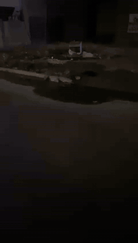 ٦٠م • واجهة ٥م • الخضراء جامع الشهيدين