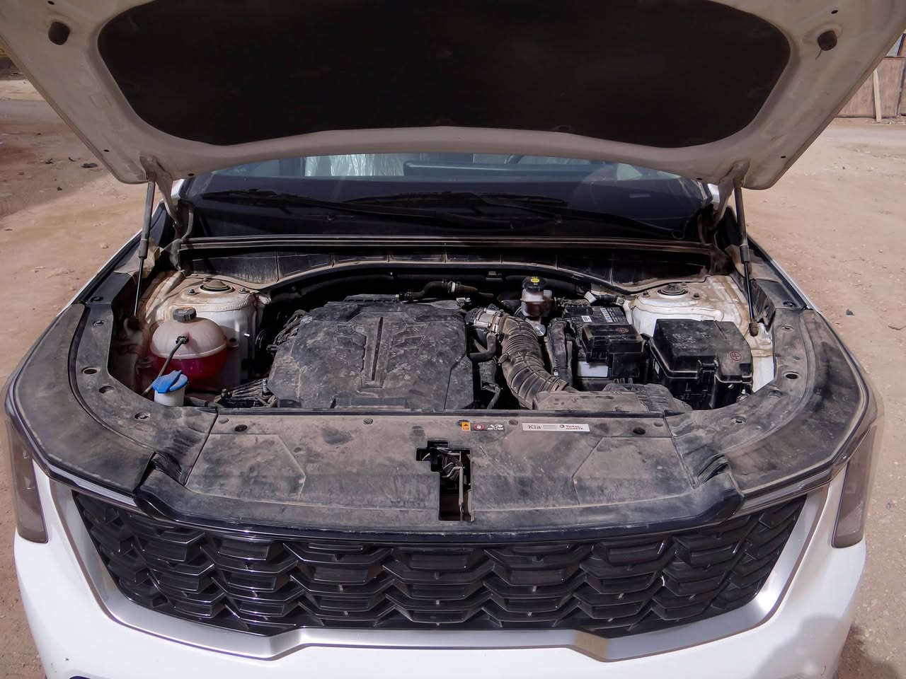 كيه سورنتو موديل ٢٤
مواصفات حساس امامي خلفي
كامره
جنطه كهرباء
مكينه ٦
تبريد ٣قطع
سياره ماشيه٢٥الف
مكفوله كفاله عامه
كشن كهربائي
مكاني الناصريه ***********
