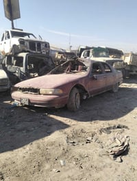 تفصيخ دولفين ... شتحتاج ابيعلك  مكاني بغداد جسر ديالى الجديد بالحي الص...