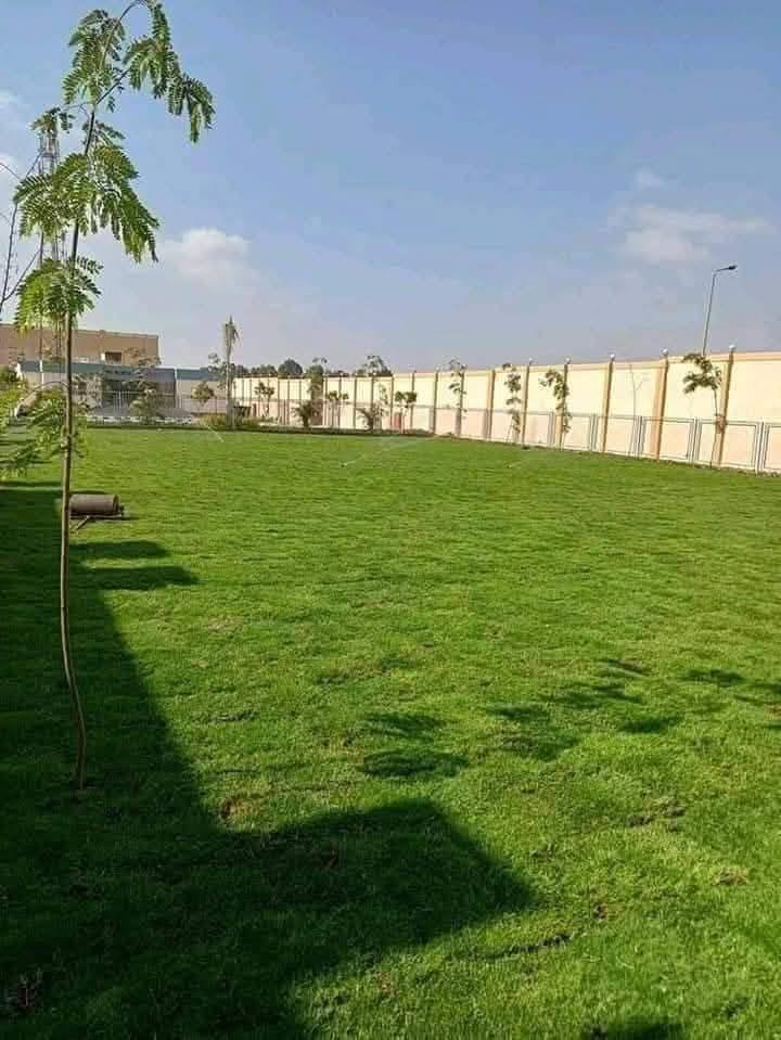 في بداية الموسم الجديد نعلن لكم بيع الثيل الهندي #درجة اولى خضار ١٠٠./. يتحمل جميع الظروف المناخيه
ثيل طبيعي وخضار ولا اروع 💚

نوعية ممتازة ودرجه اولى ⁦1️⃣⁩
ودائم الخضره 

ثيل #هندي  #امريكي   #ايطالي #انكليزي

اسعارنا الانسب وتوصيلنا الاسرع  لكافة محافظات العراق
لمعرفة المزيد راسل الصفحه او اتصل ***********/
*********** متوفر واتساب
