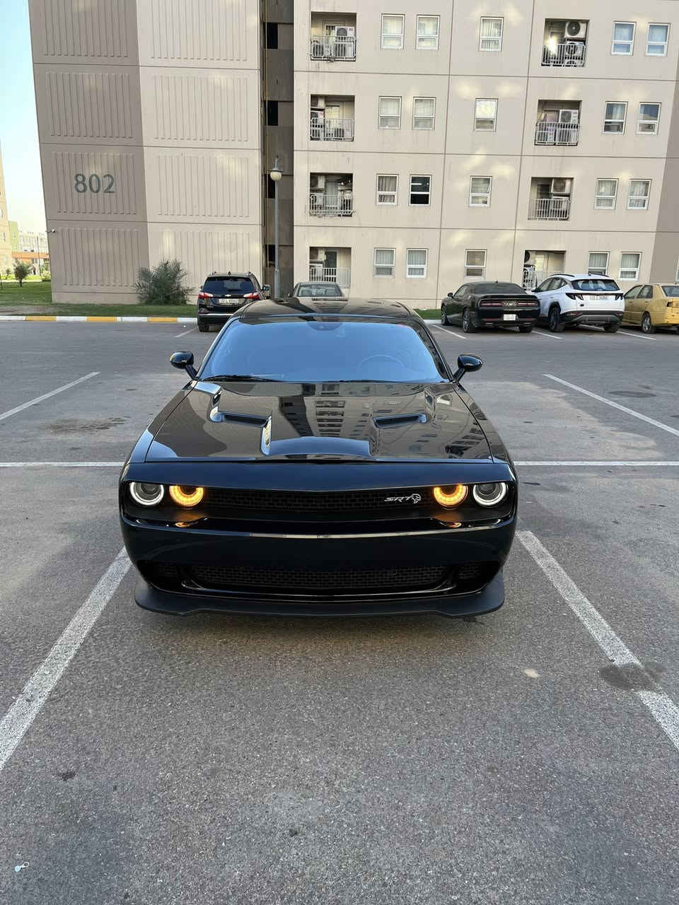 السلام عليكم  

للبيع جالنجر 2023 sxt بلاك توب
قطعتين صبغ جاملغ امامي وخلفي
 السيارة ماشية 31 الف جديدة كلش اجت ماشية 26
السيارة عليها اكزوز واكس بايب جاي من امريكا صوت حلو 
تو ويل 
175 وبيها مجال بسيط
السيارة بدون رقم دخول جديد
تترقم جميع المحافظات  
للاتصال ***********
