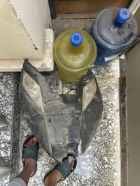 عندي هذني غراض مال ثعلب للبيع كفرات وترايش وذيل ولحيه شلع 40 الف عنوان...