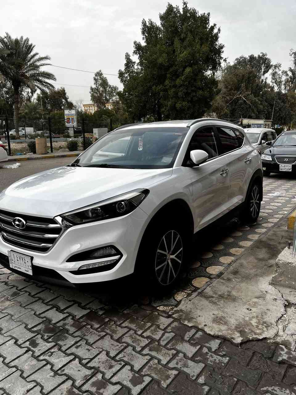 صلي على محمد
توسان للبيع جاهزه السياره كير مكينه حداديه تخم تاير من كلشي جاهزه 
موديل2016
ماشيه180
مكانين بارد بيه اسياره  وشكم رصعه بل قماره 
مكاني نجف  مداور ثاني يوم غير الي ذاكرلك ماكو 
سعر السياره 163وبيه مجال وخادم


**إذا كنت صاحب هذا الإعلان وتريد حذفه لأي سبب، رجاءا أرسل رسالة إلى الدعم الفني**