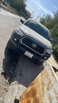 تاكوما • ٢٠٢٣ • بلا صبغ