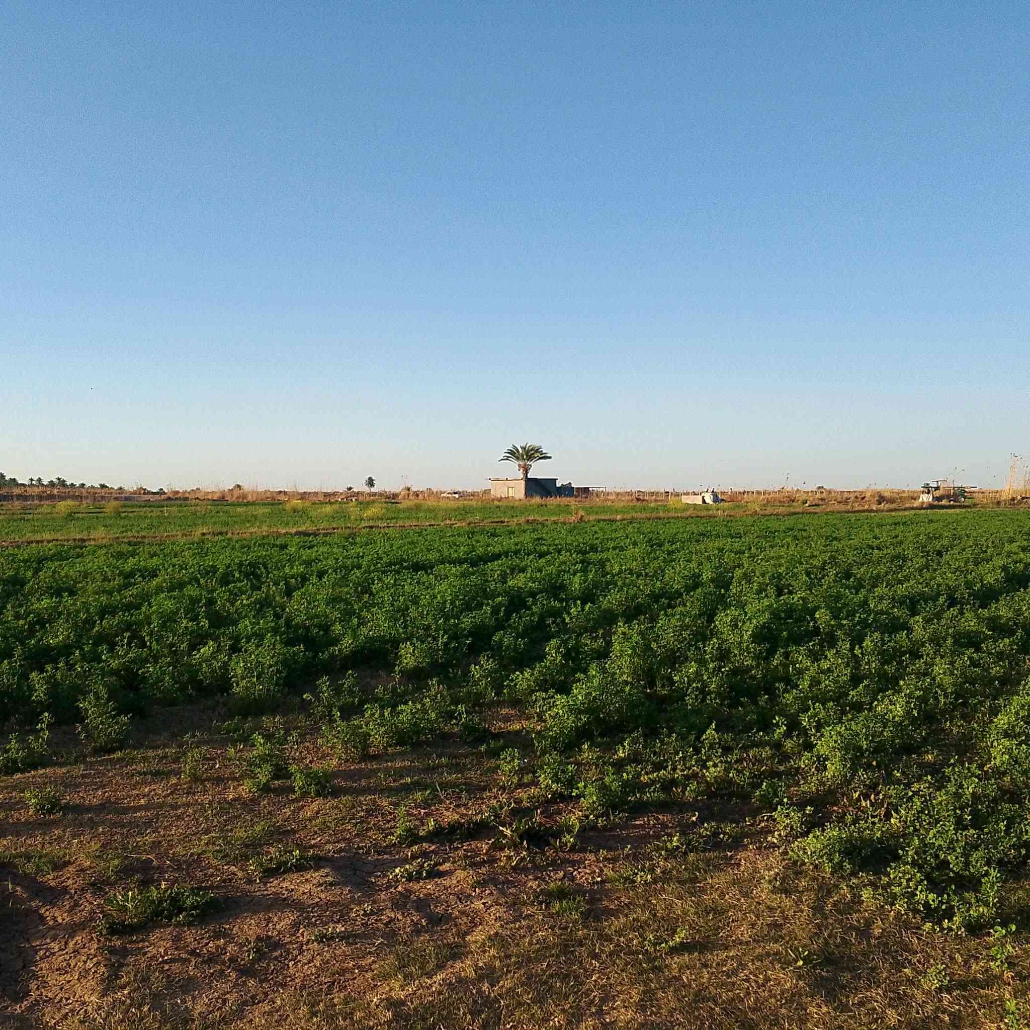السلام عليكم كاع للبيع مساحة8دونم طابو زراعي سند25 بالسجر تريدها كلها او دونم او دونمين عادي
#سعر_الدونم22_قريبه_من_النهر 0782748101
*********** السجر خمس دقائق من الفلوجه

السلام عليكم ي
