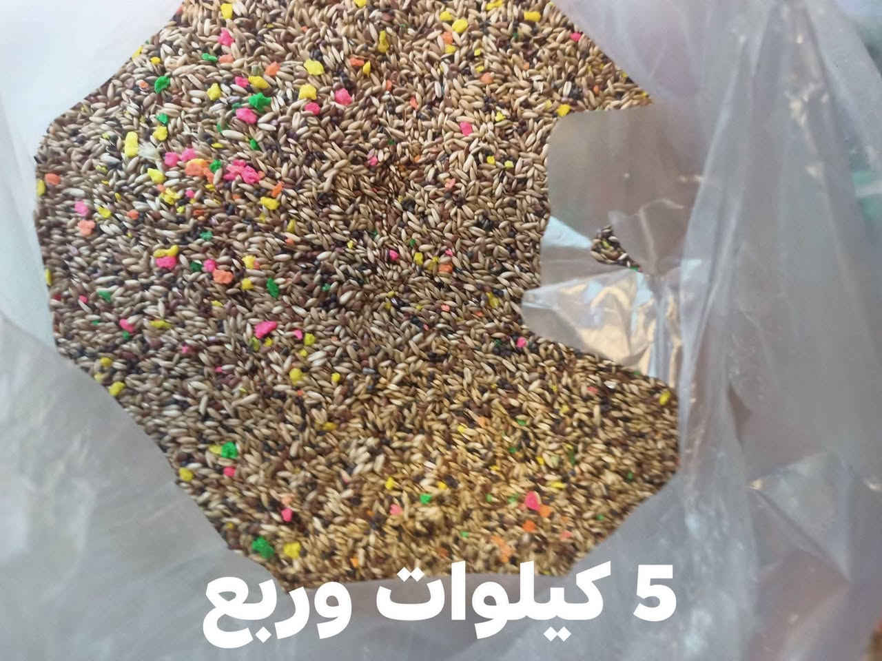 سلام عليكم
عندي دخن مال عصافير تقريباً 20 كيلو للبيع 
وعندي خلطات للبيع مال كناري .
مكاني الموصل ايمن.


**إذا كنت صاحب هذا الإعلان وتريد حذفه لأي سبب، رجاءا أرسل رسالة إلى الدعم الفني**