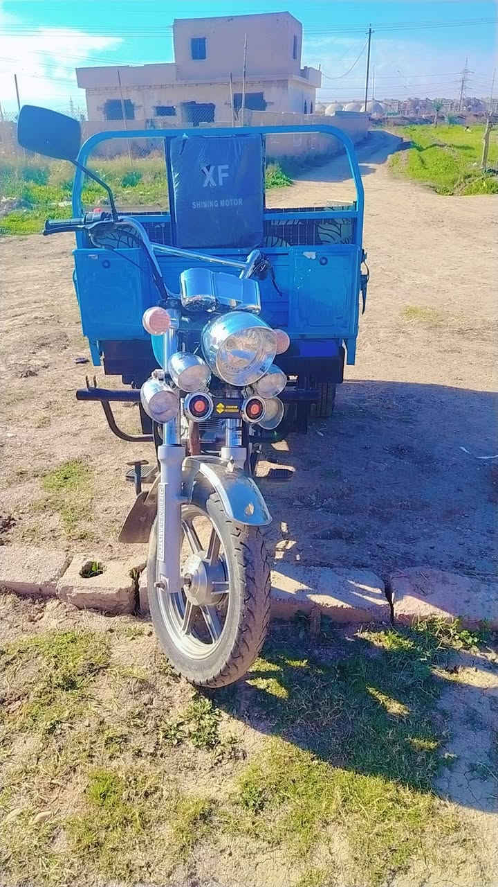 السلام عليكم ستوته أوراق كامله ستوته نضافه فول مكان بغداد ابو غريب للستفسار أكثر اتصل ***********
