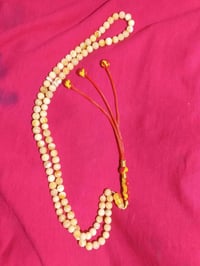 كهرب بولوني جبسي • ٢٢غ • ١٠١حبة