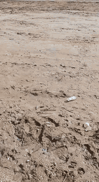 أرض • مجمع بركات الحمزة • ٦٠٠م