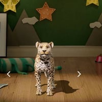 موصل • وجه لوجه • بي مجال