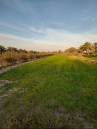 اللهم صل على محمد وآل محمد  دونمين اله ربع للبيع  طابو زراعي سند٢٥تحوي...