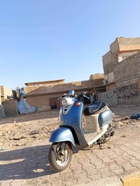 عبد الحليم فحل • كابريتر وسلف • صوت اكسل