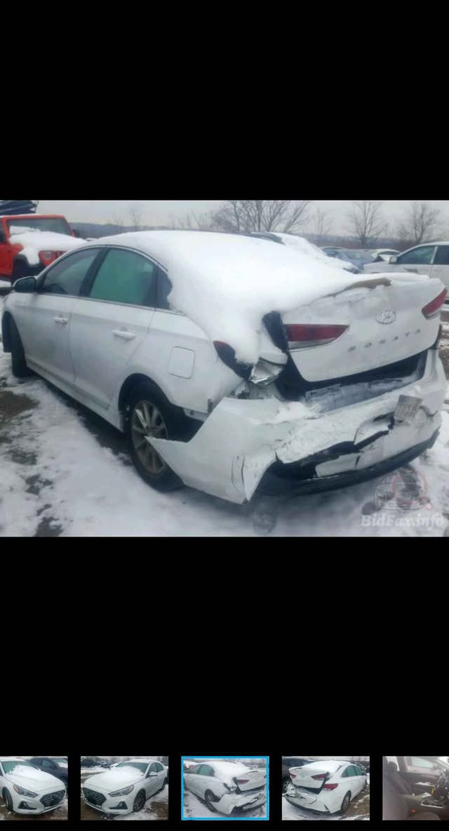 سوناتا وارد امريكي موديل 2018 نص فول
رقم كربلاء صور الحادث مرفقه بالمنشور
*********** ديوانية, القادسية
