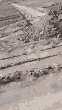 الشافعية قرب حي الموظفين • ٥ دونم • طابو مداور