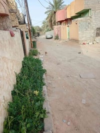 حي الهادي • ٥٠م • خدمات كاملة