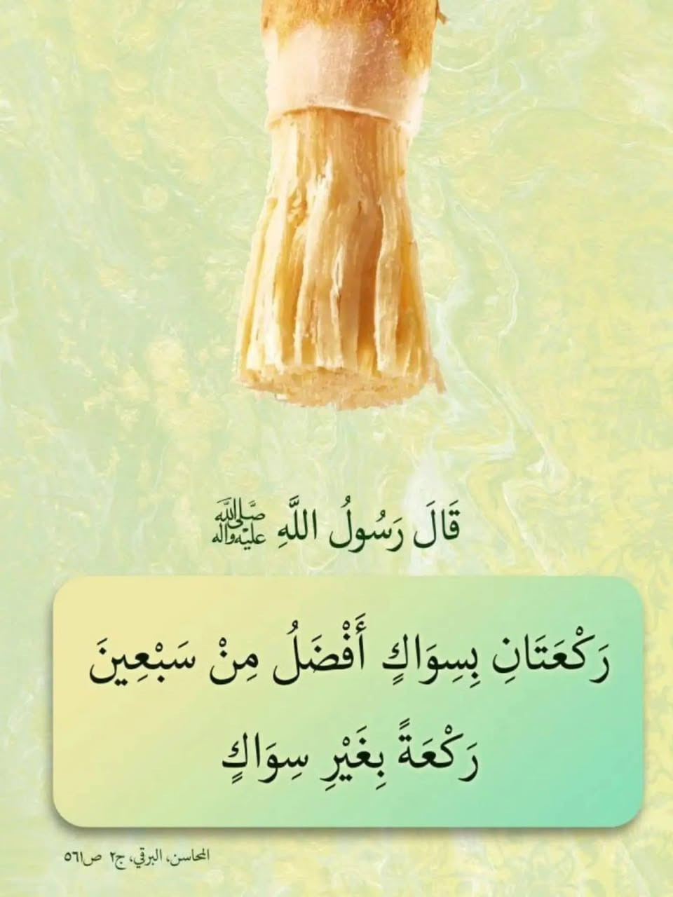 🔴 فوائد السواك

💢 عن أبي عبدالله عليه السلام قال:
 في السواك اثنتا عشرة خصلة:
١. هو من السنة، 
٢.ومطهرة للفم، 
٣.ومجلاة للبصر،
٤. ويرضي الرحمن، 
٥.ويبيض الأسنان، 
٦.ويذهب بالحفر، 
٧.ويشد اللثة،
٨. ويشهي الطعام،
٩. ويذهب بالبلغم، 
١٠.ويزيد في الحفظ، 
١١.ويضاعف به الحسنات،
١٢. وتفرح به الملائكة.

📚 الخصال، ص٤٨١، ح٥٣

يتوفر عود سواك شجرة الاراك 

سعر العود الخشن 1500 دينار
 
سعر عود السواك الناعم 1000 دينار 

🔻يوجد توصيل 🔺      
🚕 لجميع المحافظات داخل العراق


**إذا كنت صاحب هذا الإعلان وتريد حذفه لأي سبب، رجاءا أرسل رسالة إلى الدعم الفني**