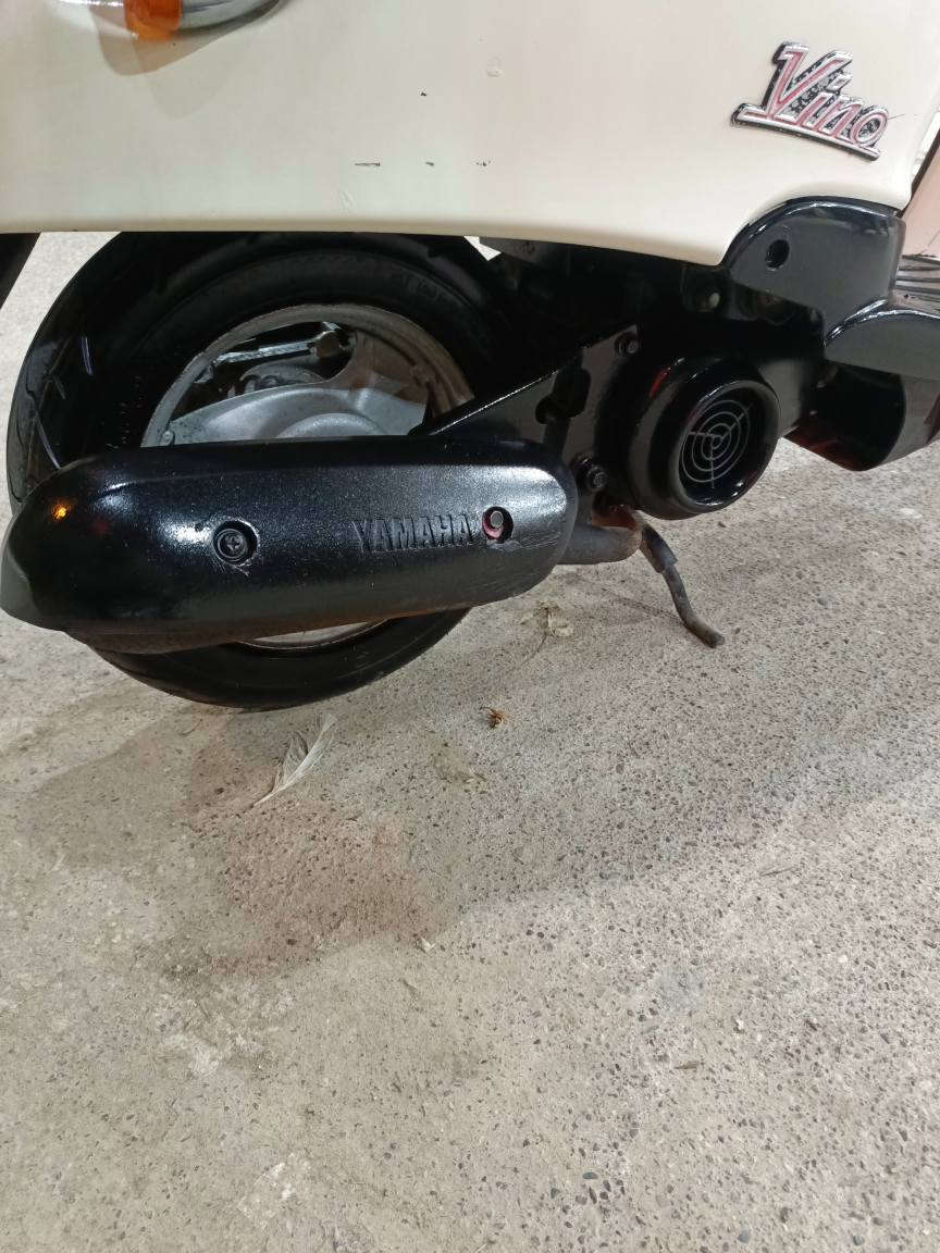 بەشەرتی فەحسی، مەکینە کەپس، لەنگەیە. 

ژمارە موبایل 
0750-433-2831 أربيل, العراق


**إذا كنت صاحب هذا الإعلان وتريد حذفه لأي سبب، رجاءا أرسل رسالة إلى الدعم الفني**