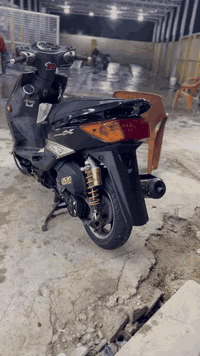 سكنس فحل مزوده للبيع تزويدها مكينه رياضي بلاديه  كور صليب صدر رياضي دب...