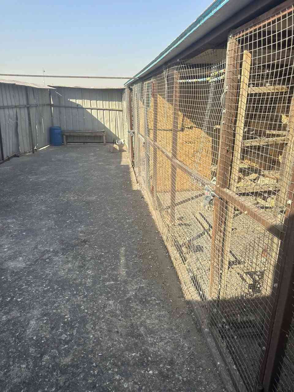 السلام عليكم عازوله مع الدرج للبيع حديد ثقيل جنلات وسندويش بنل طول العازوله ١٢متر وعرض ٥متر وارتفاع ٢متر مع الأقفاص حديد جديد وجنلات وباب اسلايت وباقي الابواب سركي عرض الأقفاص ٢متر وارتفاع ٢متر العنوان بغداد ناحيه الوحده قرب بسمايه السعر اتصل وتدلل ***********
