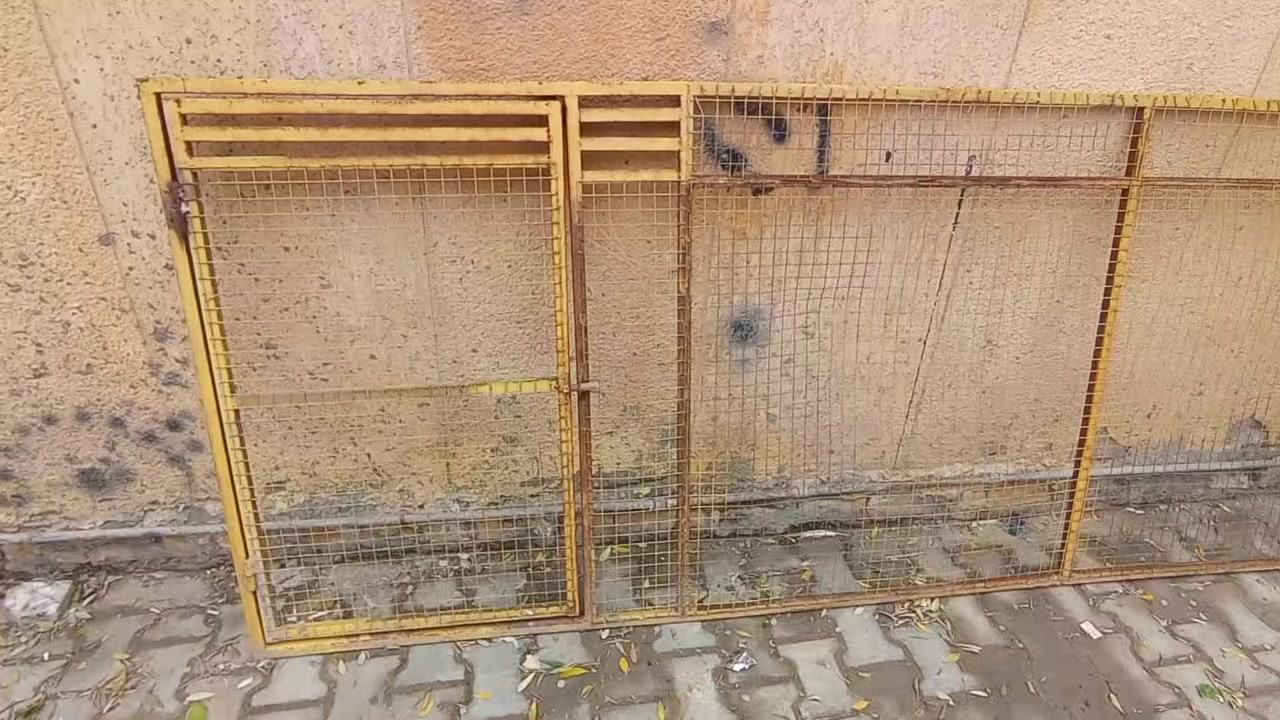 السلام عليكم وجهيه مال طيور نضيفه
وجهيه هيه وياه بعد صفحته  قياس 120 وفي 370 
بيهة بابين 2ونضيفه كلش شراي اتصل وتدلل 
***********
