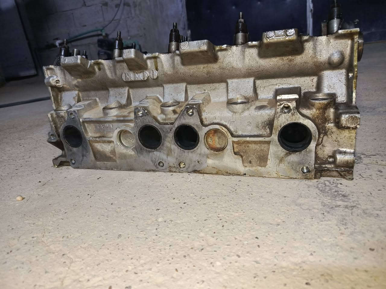 كور سمند للبيع مكصوص مره وحده عدل مابي اي عواج بس الشيال مكسور السعر 40 بيه مجال *********** مكاني بغداد ناحيه الوحده قرب مجمع بسمايه
