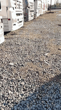 السلام عليكم
داف 2001 CF
كير عادي
عنوان موصل
 رقم انجليزي
تحويل مباشر
غرفه نظيفه
سياره جديده
 كير محرك شرط
145 سعر 
بيها مجال


**إذا كنت صاحب هذا الإعلان وتريد حذفه لأي سبب، رجاءا أرسل رسالة إلى الدعم الفني**