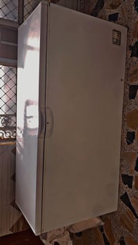 مجمدة • عارضات بطحية • النهروان بغداد