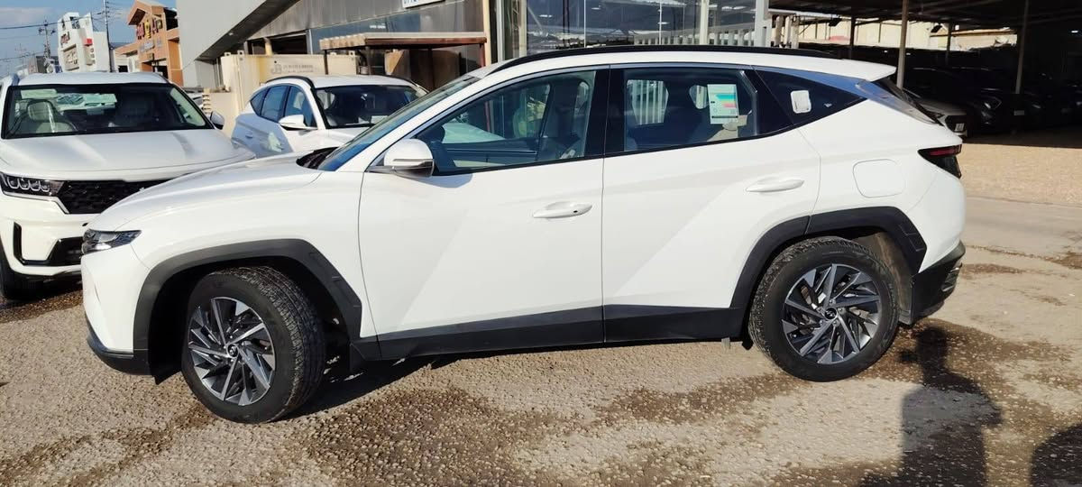 للبيع توسان ٢٠٢٤ خليجي رقم بغداد تحويل مباشر ماشيه ٤٧ الف سياره مكفوله من الصبغ والشخوط عدا رصعه صغيره مسحوبه PDR مامبينه فقط بالسونار تطلع محرك ٢٠٠٠ دوش بصمه بردات ابواب كشنات كهرباء داخل بيجي اسبير مانازل بصمه احتياط كتلوكات برده خلفيه كل غراضها موجوده السعر ٢١٢ ورقه مجالها بسيط السياره بالحله *********** بيع فقط
