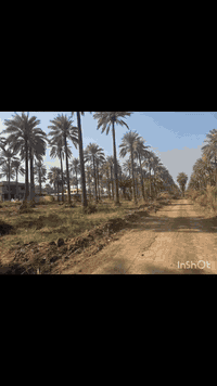 التاجي الشيخ حمد • ١٩ دونم • ملك صرف